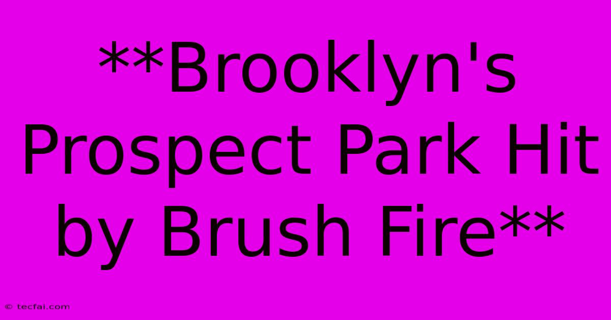 **Brooklyn's Prospect Park Hit By Brush Fire**