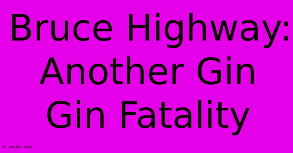 Bruce Highway: Another Gin Gin Fatality