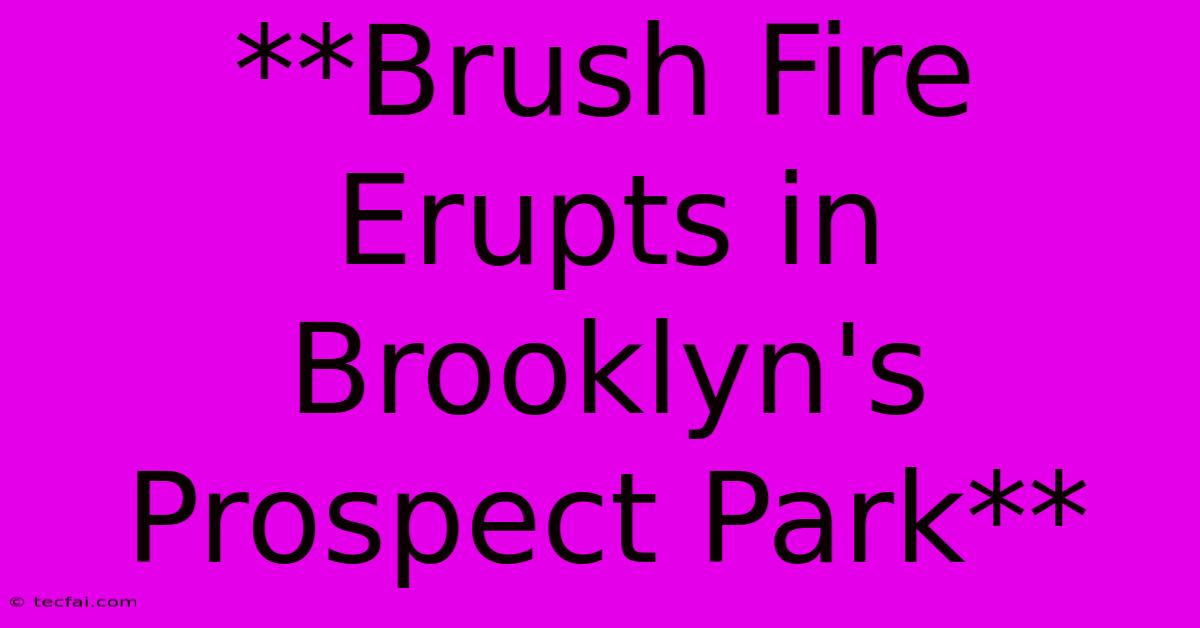 **Brush Fire Erupts In Brooklyn's Prospect Park** 