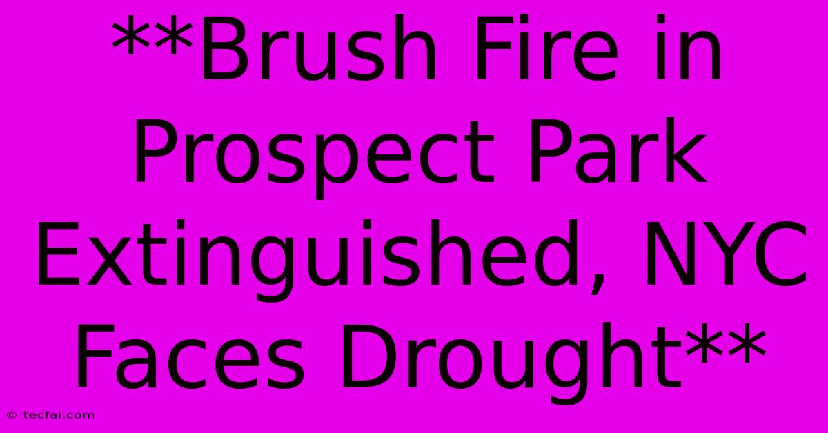 **Brush Fire In Prospect Park Extinguished, NYC Faces Drought** 