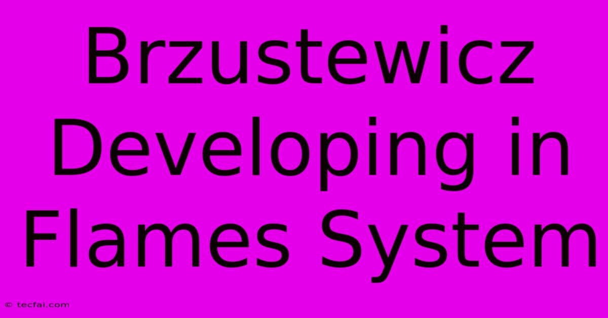 Brzustewicz Developing In Flames System