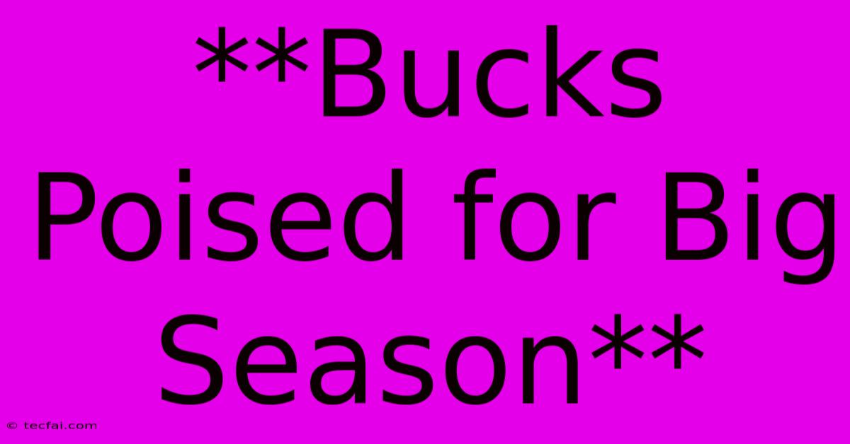 **Bucks Poised For Big Season**