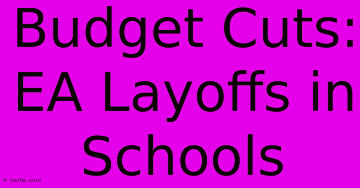 Budget Cuts:  EA Layoffs In Schools