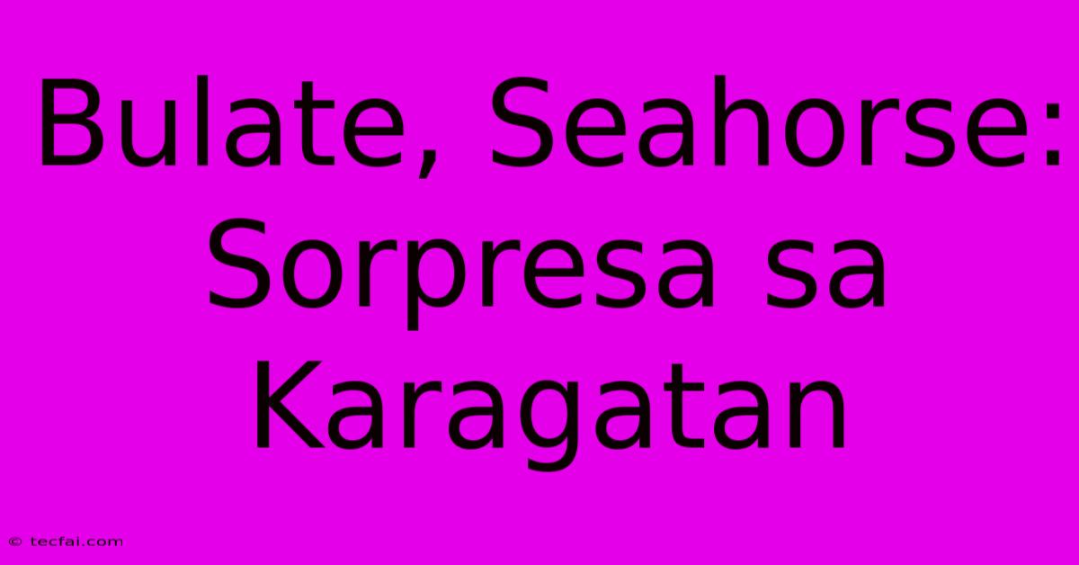 Bulate, Seahorse: Sorpresa Sa Karagatan