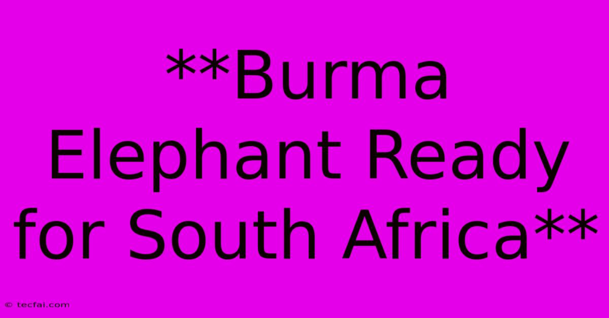 **Burma Elephant Ready For South Africa**