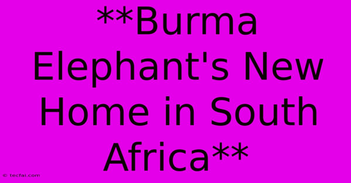 **Burma Elephant's New Home In South Africa** 