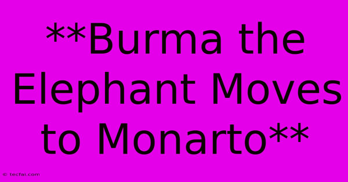 **Burma The Elephant Moves To Monarto**