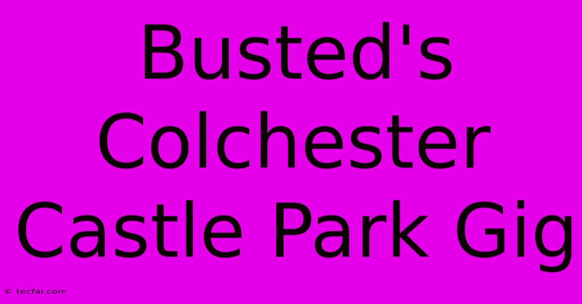 Busted's Colchester Castle Park Gig