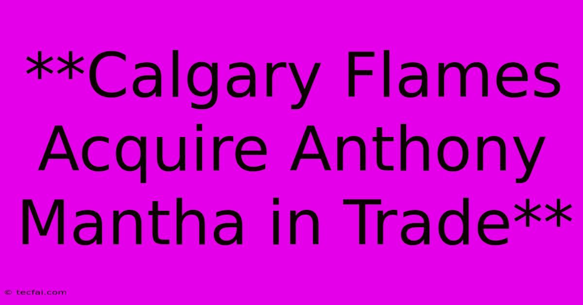 **Calgary Flames Acquire Anthony Mantha In Trade**