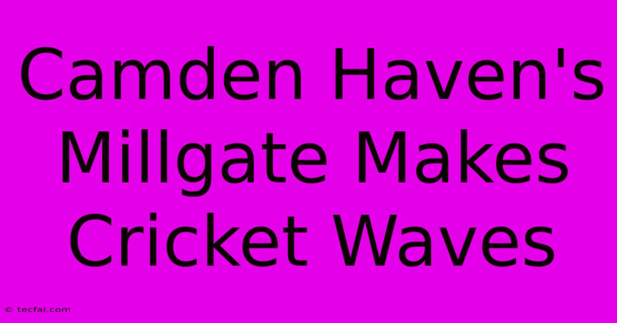 Camden Haven's Millgate Makes Cricket Waves