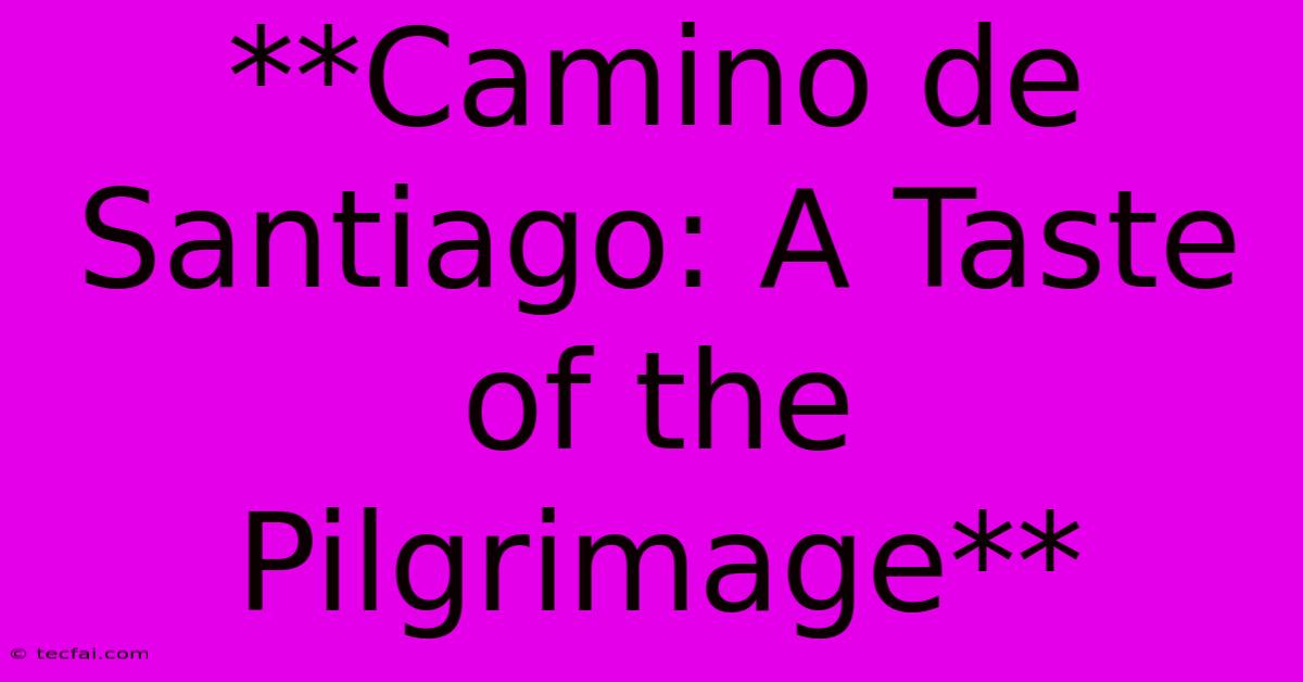 **Camino De Santiago: A Taste Of The Pilgrimage**