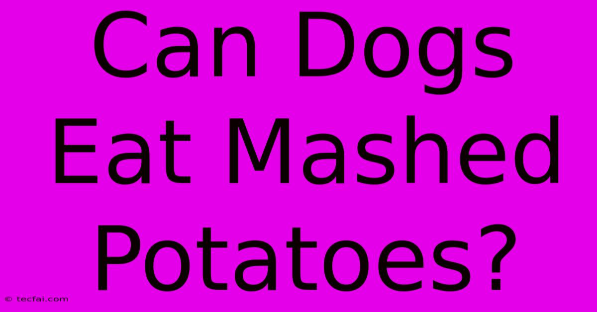 Can Dogs Eat Mashed Potatoes?