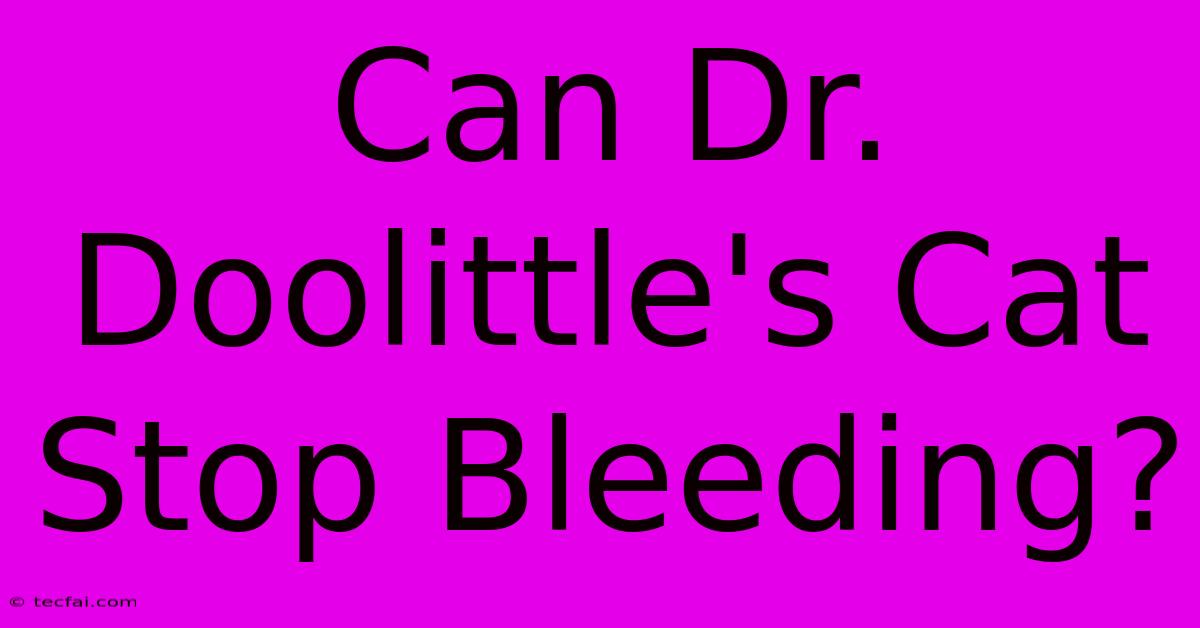 Can Dr. Doolittle's Cat Stop Bleeding?