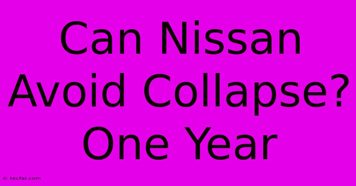 Can Nissan Avoid Collapse? One Year