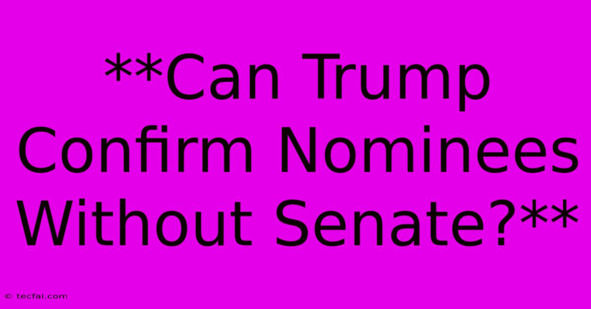 **Can Trump Confirm Nominees Without Senate?**