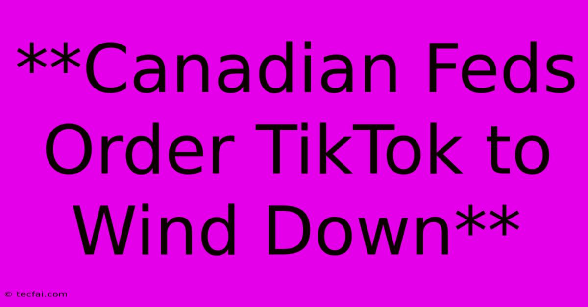 **Canadian Feds Order TikTok To Wind Down**