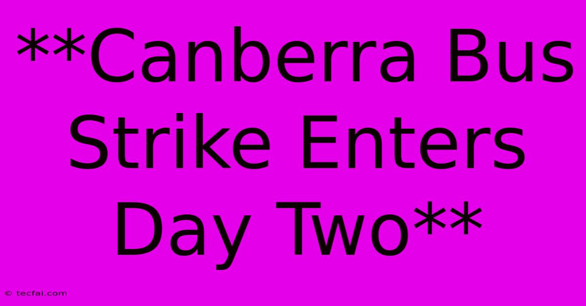 **Canberra Bus Strike Enters Day Two**