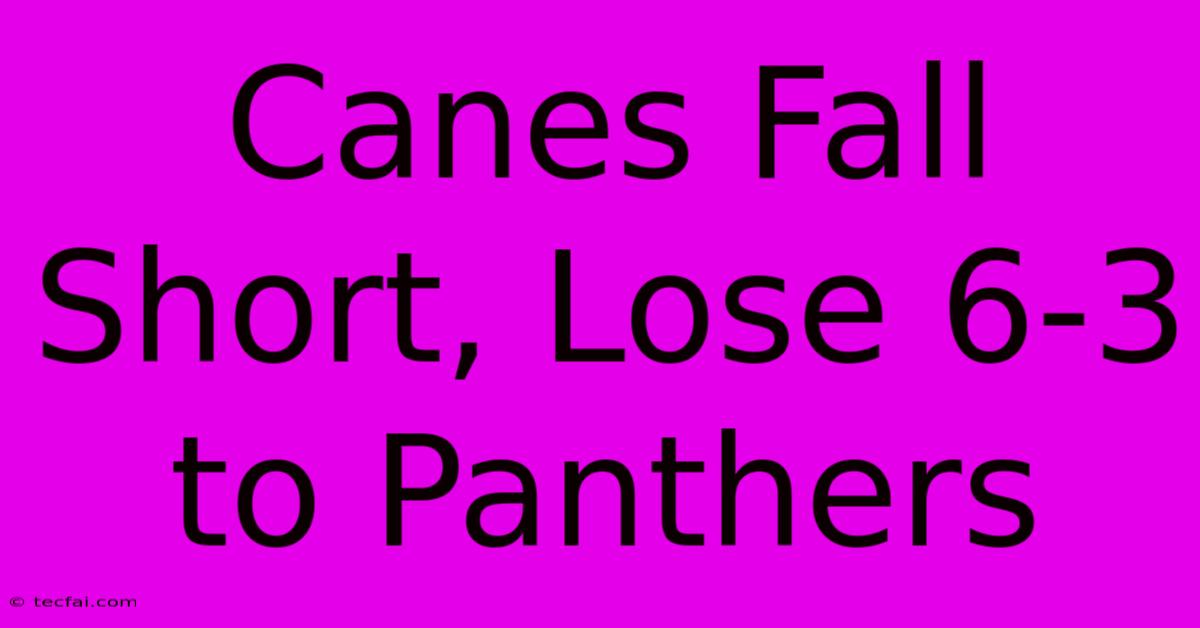 Canes Fall Short, Lose 6-3 To Panthers