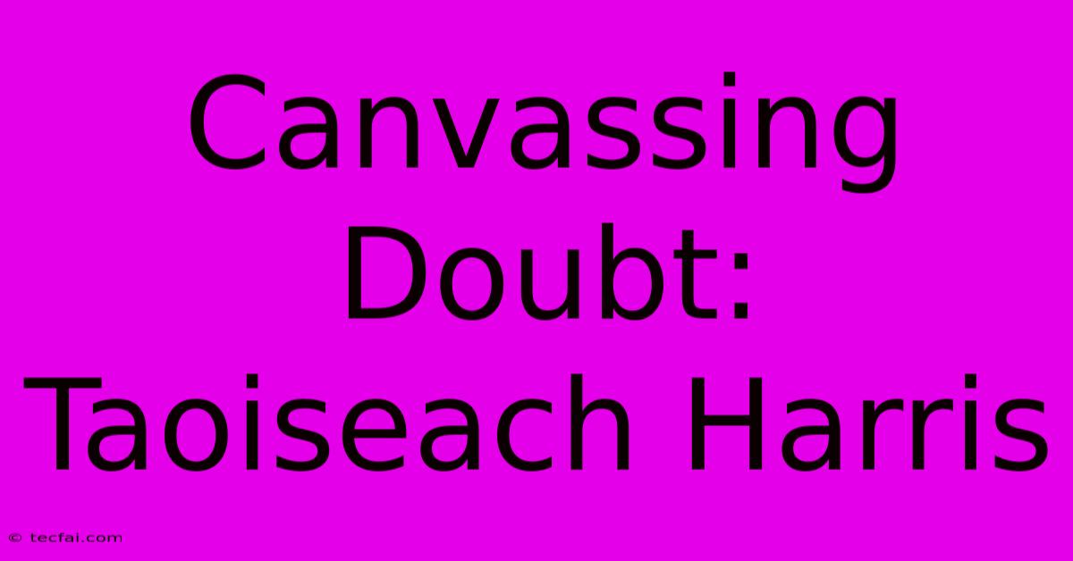 Canvassing Doubt: Taoiseach Harris