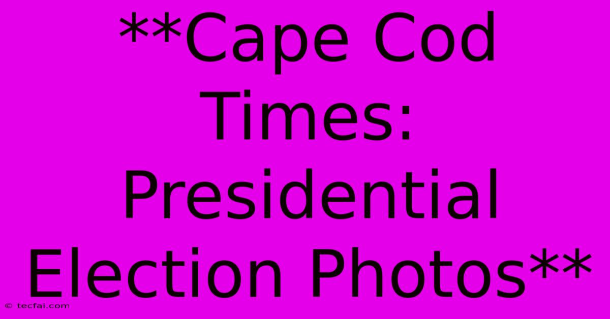 **Cape Cod Times: Presidential Election Photos**