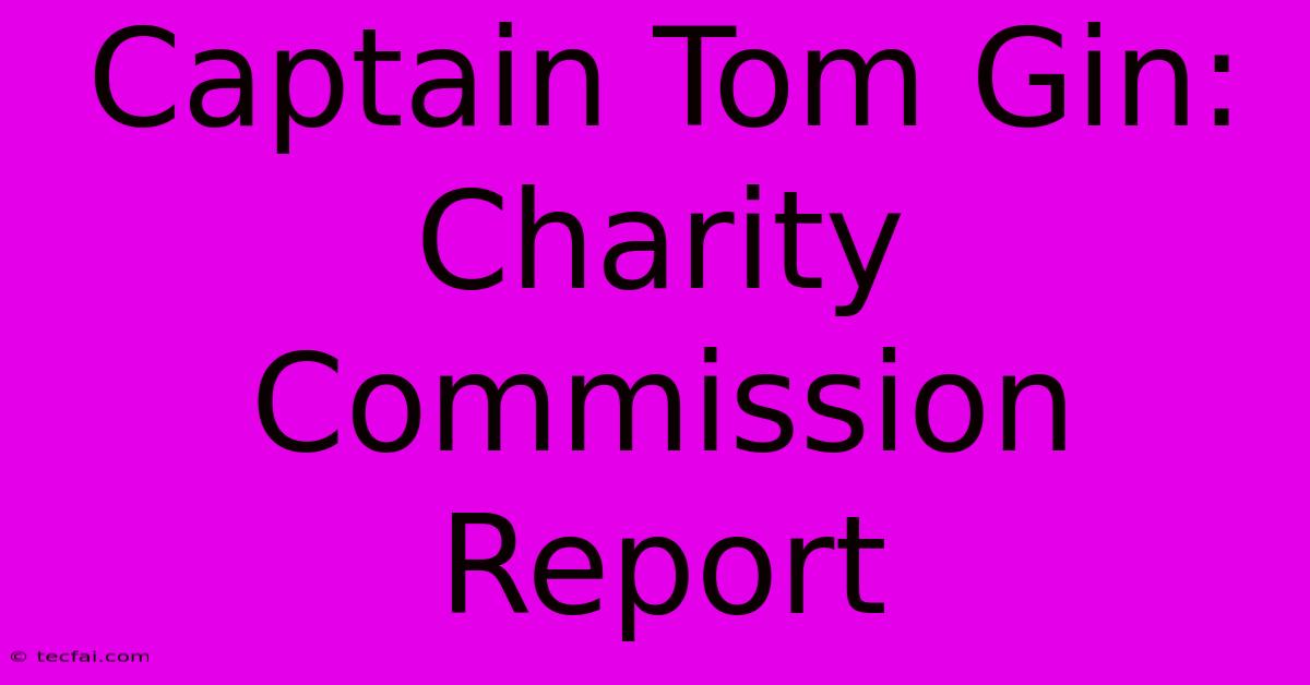 Captain Tom Gin: Charity Commission Report