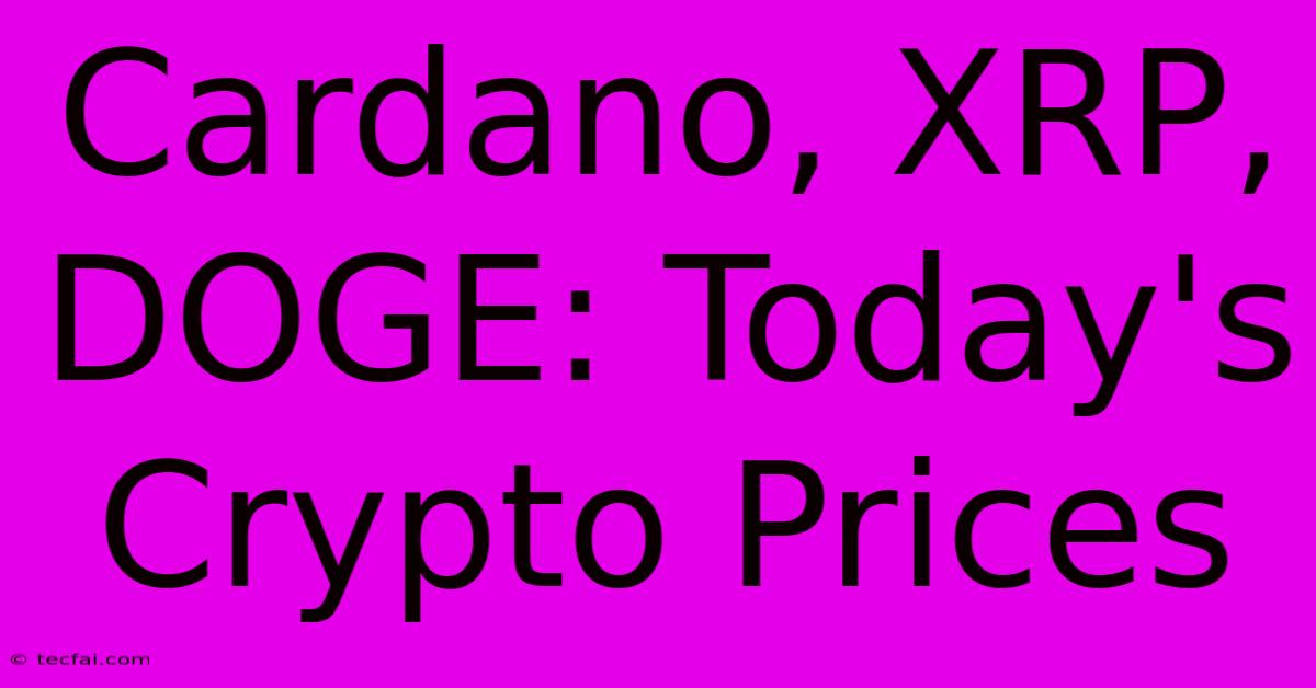 Cardano, XRP, DOGE: Today's Crypto Prices