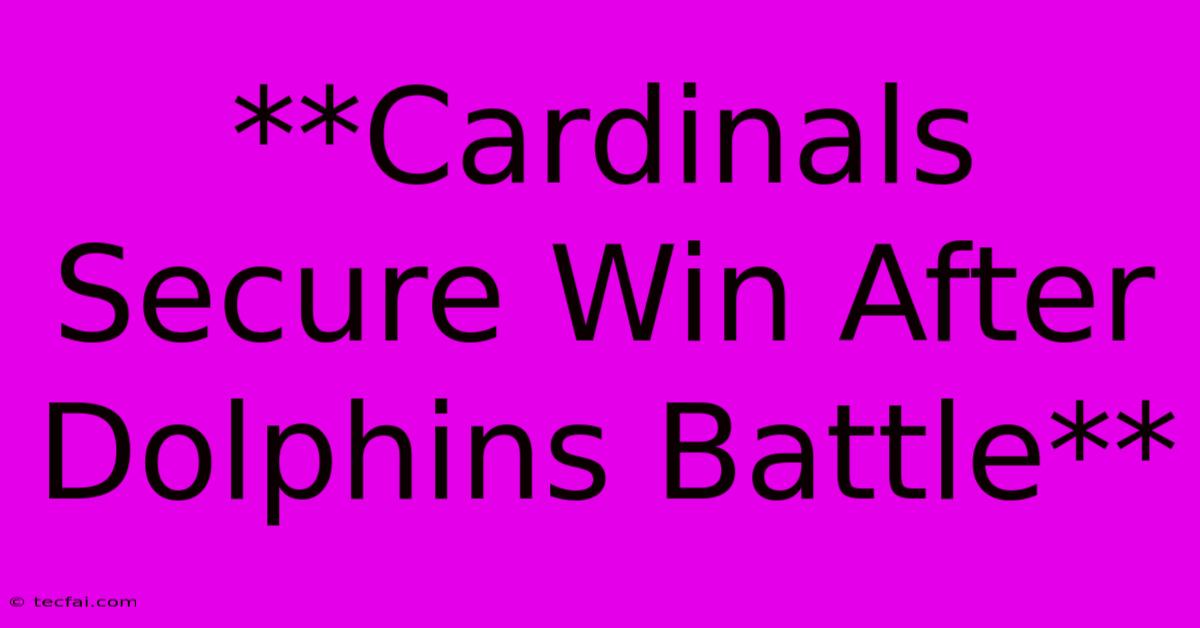 **Cardinals Secure Win After Dolphins Battle**