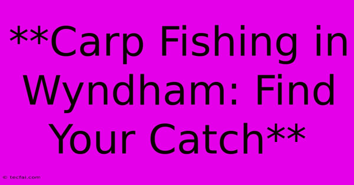 **Carp Fishing In Wyndham: Find Your Catch**