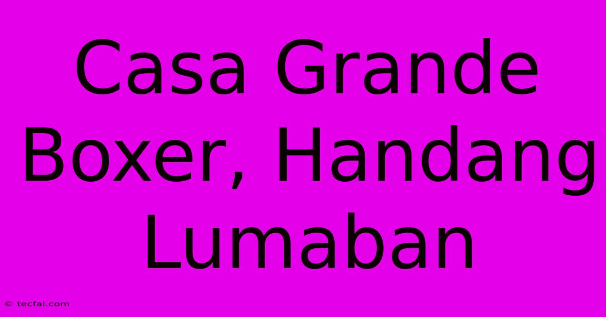 Casa Grande Boxer, Handang Lumaban 