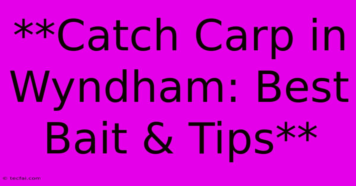 **Catch Carp In Wyndham: Best Bait & Tips**