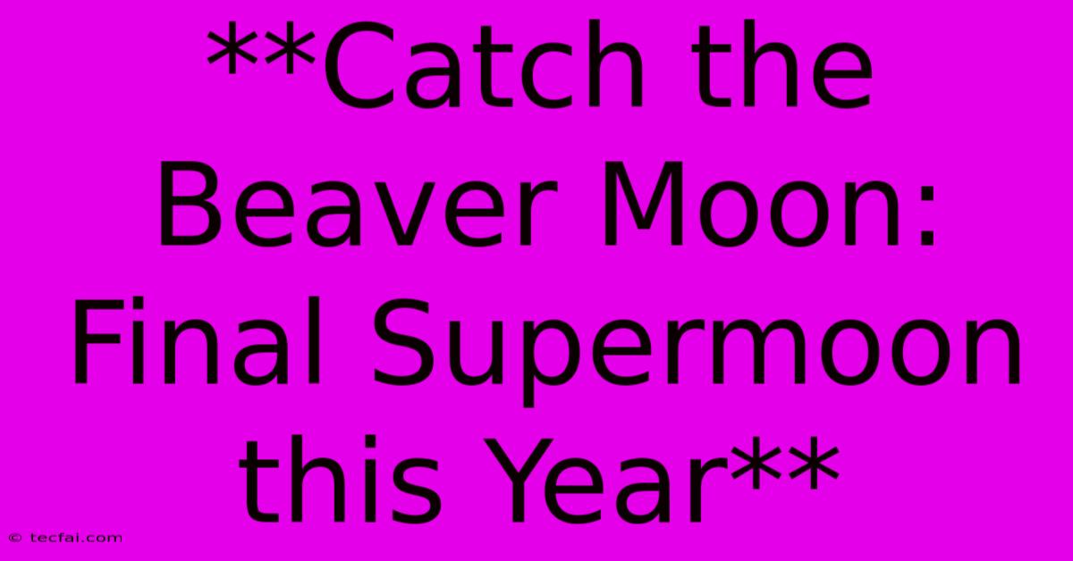 **Catch The Beaver Moon: Final Supermoon This Year** 