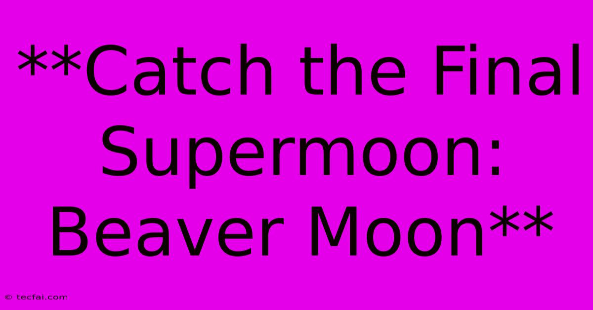 **Catch The Final Supermoon: Beaver Moon**