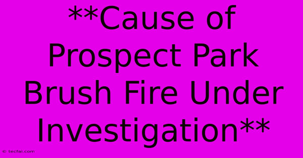 **Cause Of Prospect Park Brush Fire Under Investigation**