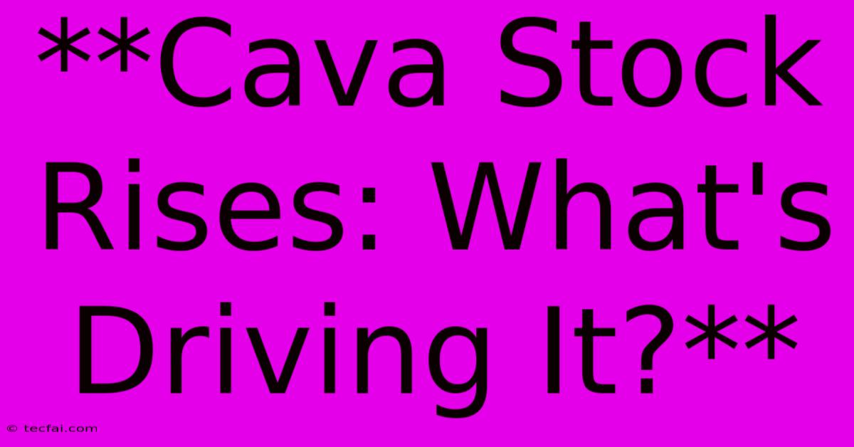 **Cava Stock Rises: What's Driving It?**