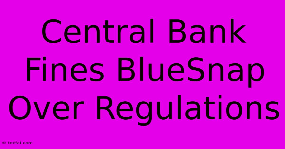 Central Bank Fines BlueSnap Over Regulations