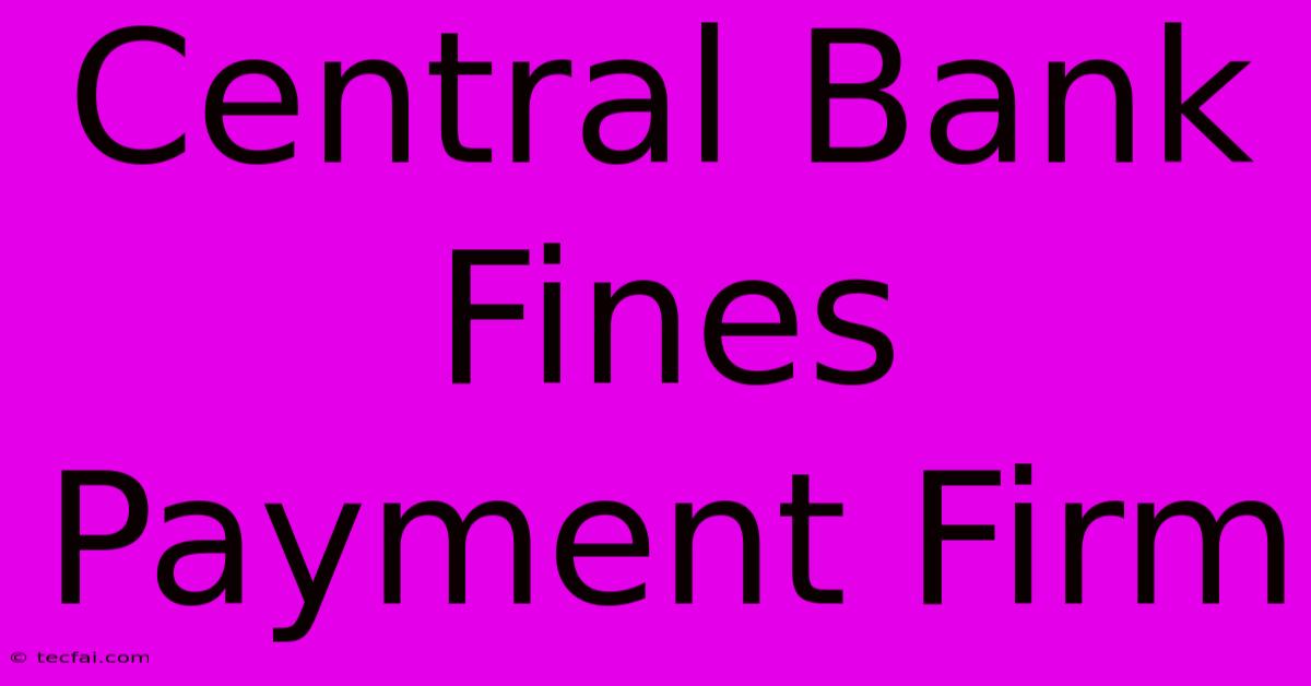 Central Bank Fines Payment Firm