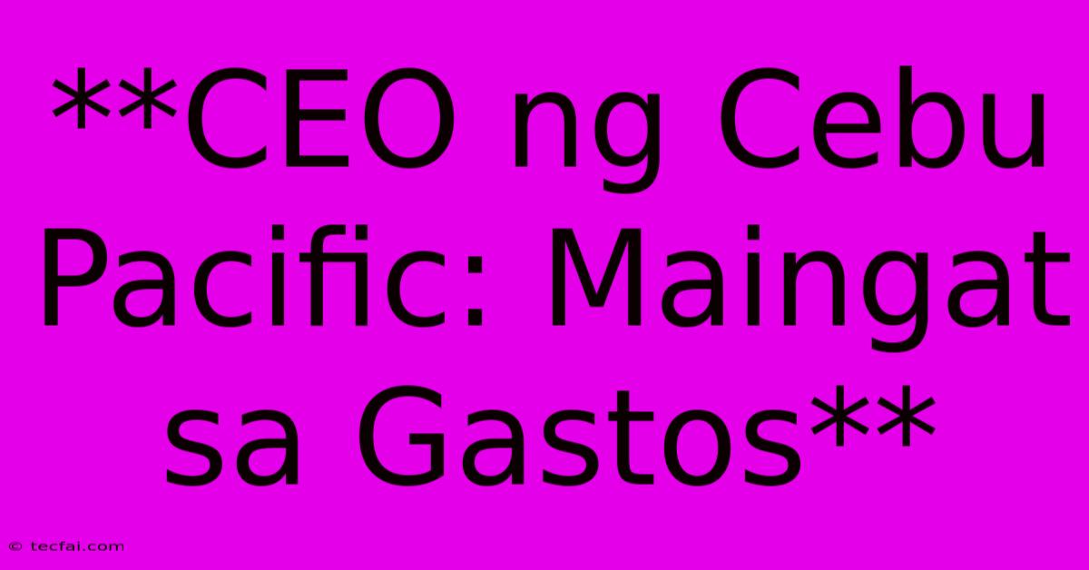 **CEO Ng Cebu Pacific: Maingat Sa Gastos**