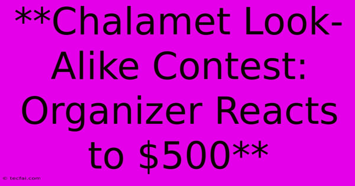 **Chalamet Look-Alike Contest: Organizer Reacts To $500**