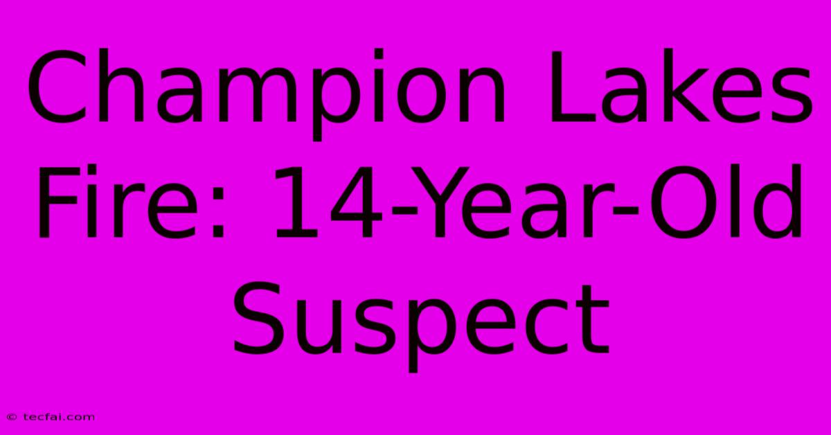 Champion Lakes Fire: 14-Year-Old Suspect