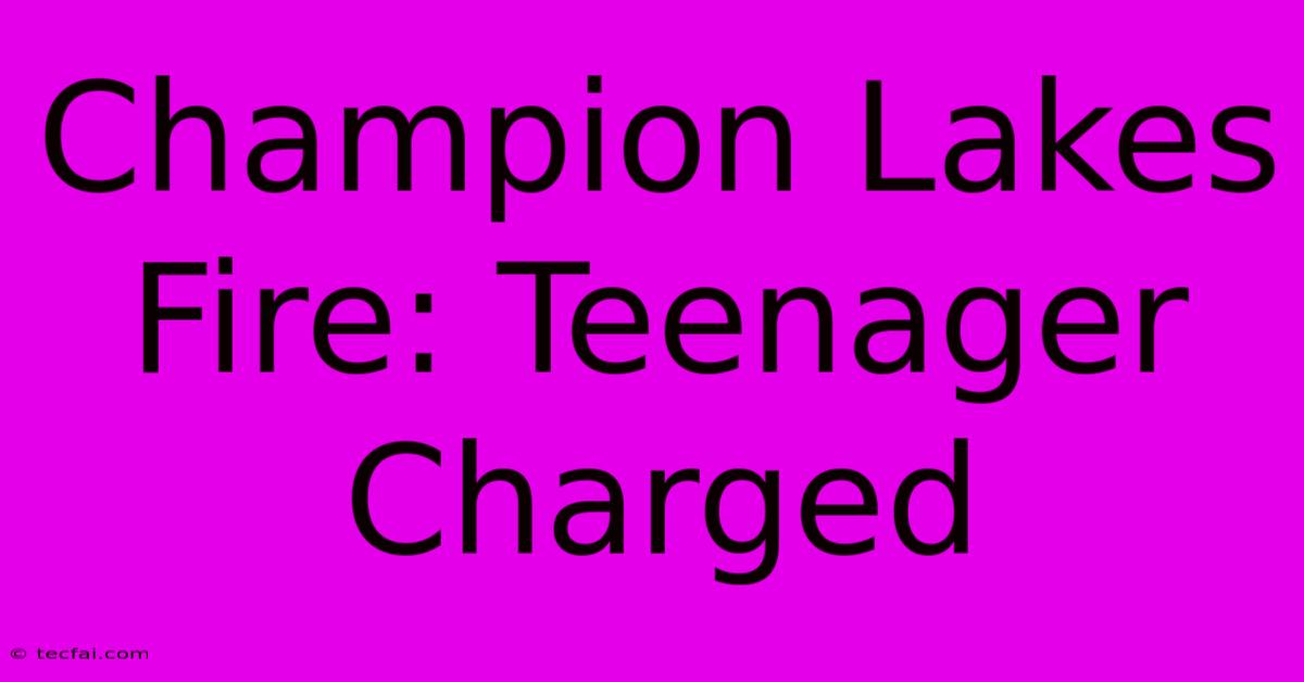 Champion Lakes Fire: Teenager Charged