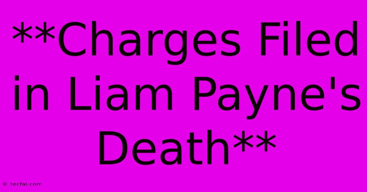 **Charges Filed In Liam Payne's Death** 