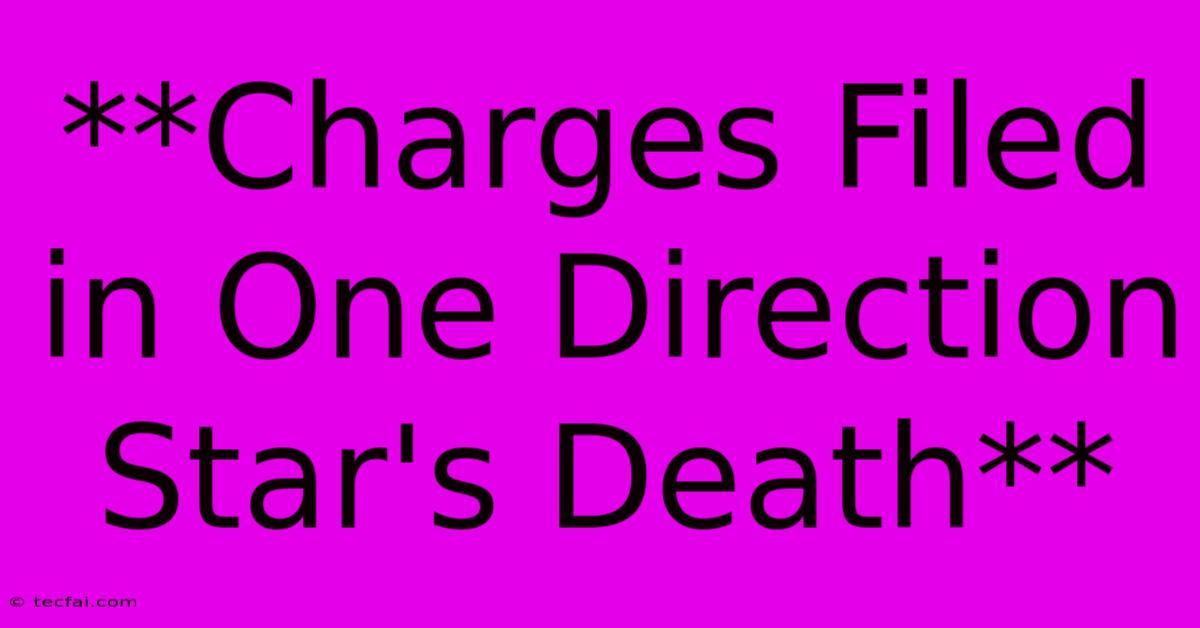 **Charges Filed In One Direction Star's Death**