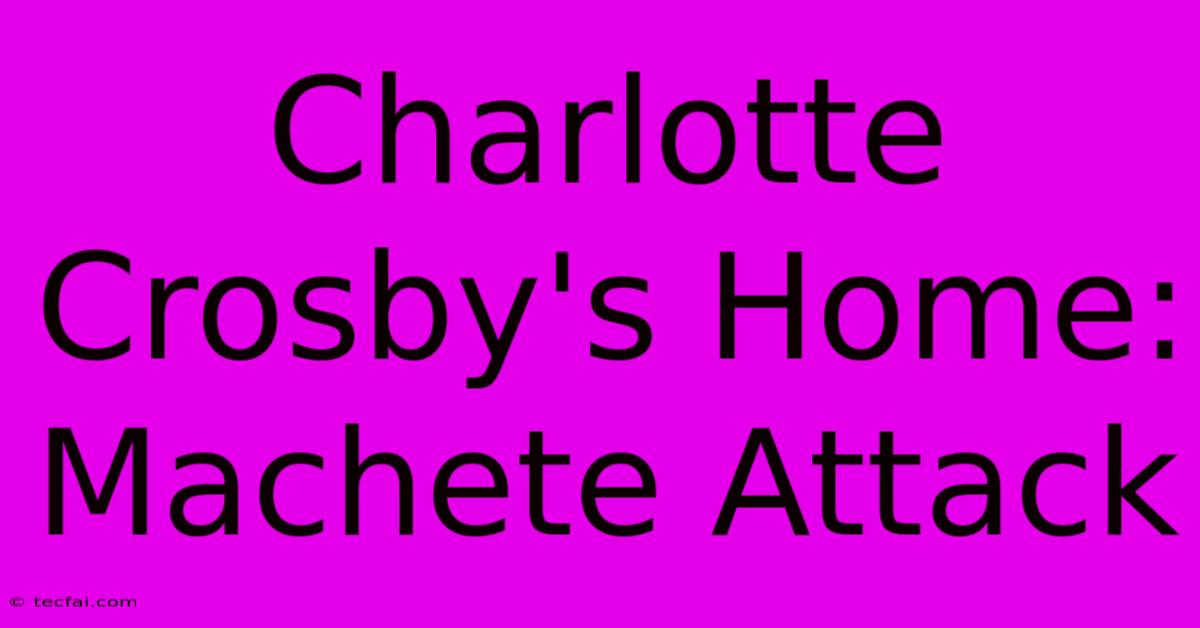 Charlotte Crosby's Home: Machete Attack