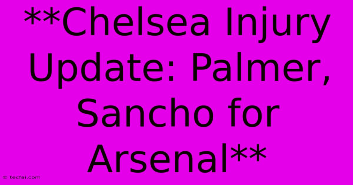 **Chelsea Injury Update: Palmer, Sancho For Arsenal**