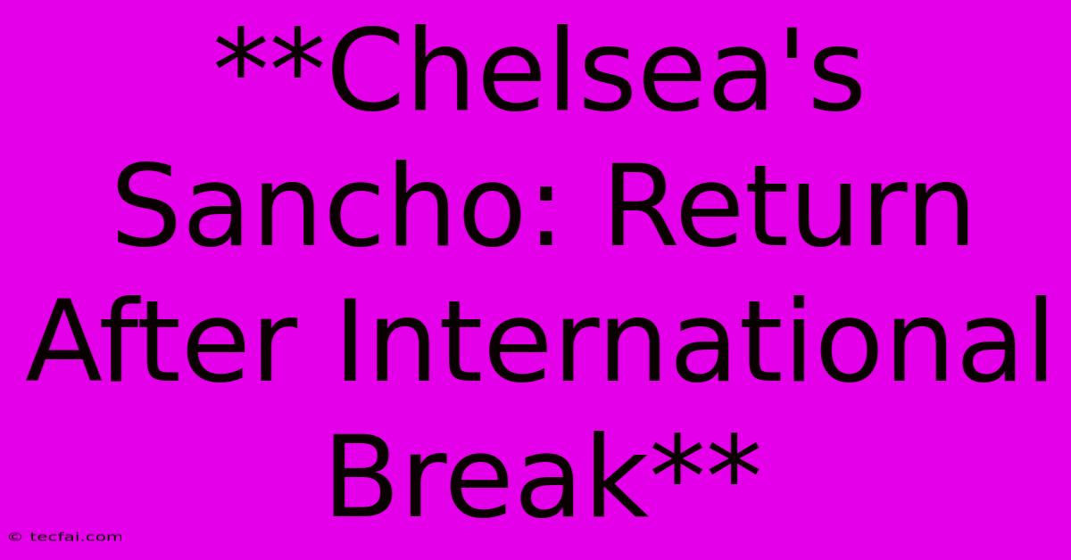 **Chelsea's Sancho: Return After International Break**