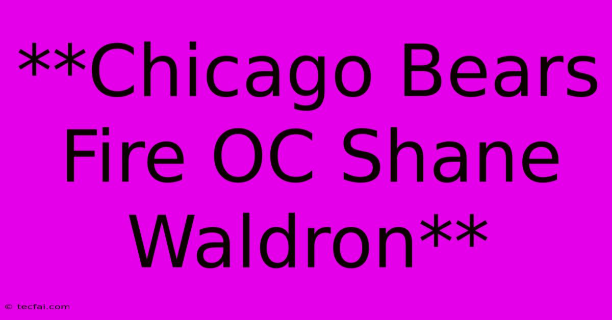 **Chicago Bears Fire OC Shane Waldron** 