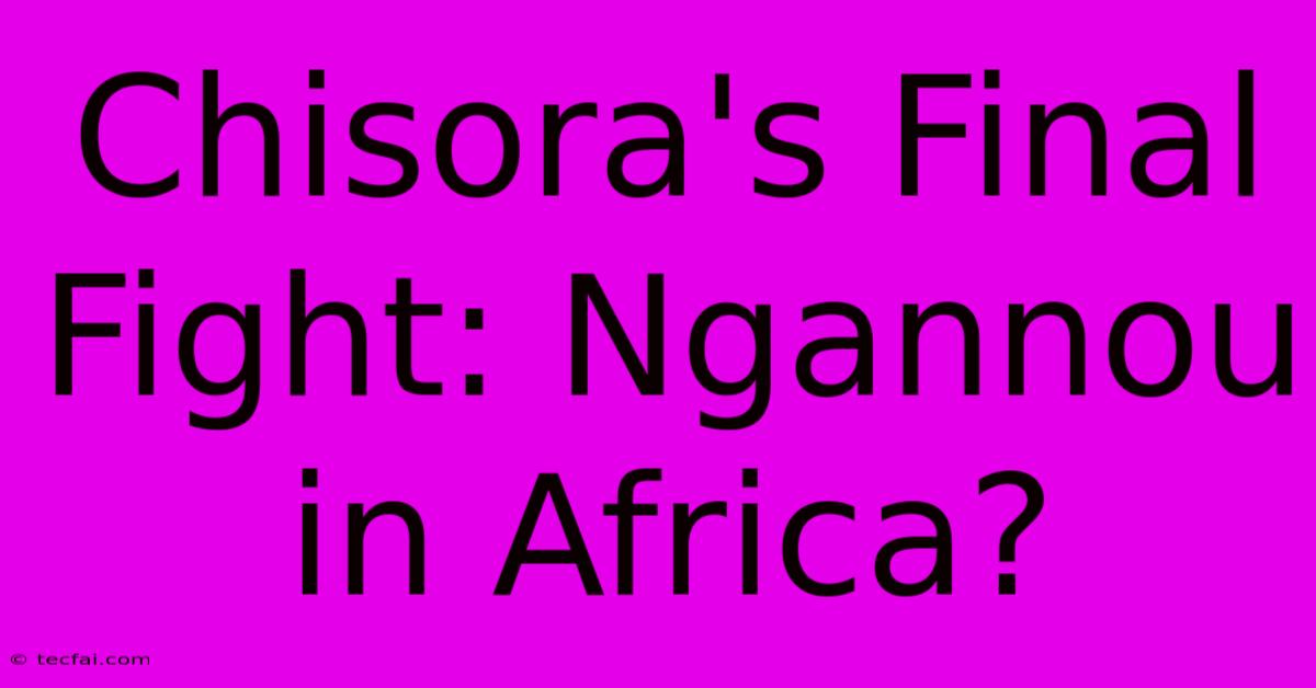 Chisora's Final Fight: Ngannou In Africa?