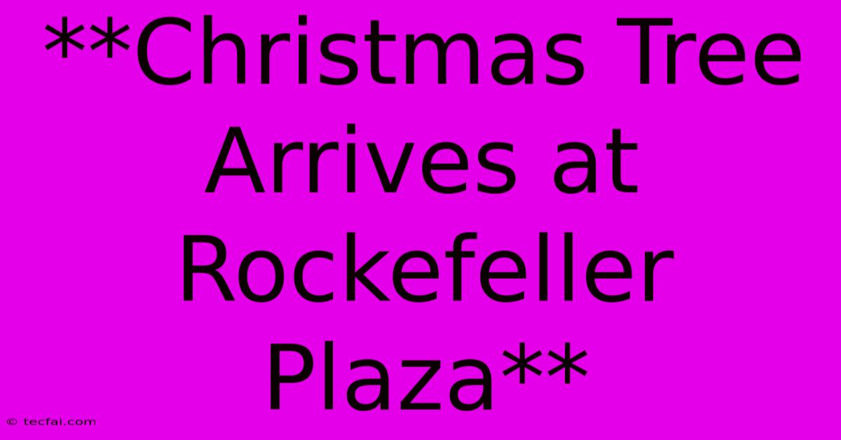 **Christmas Tree Arrives At Rockefeller Plaza**