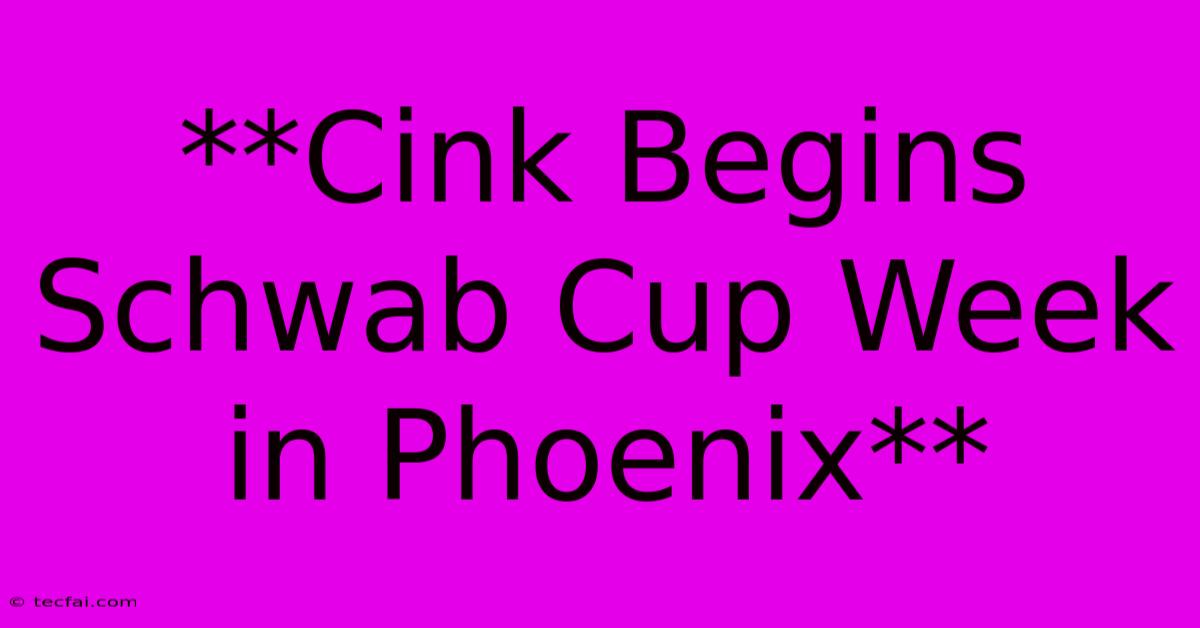 **Cink Begins Schwab Cup Week In Phoenix** 