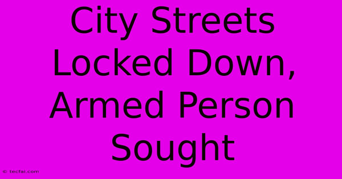 City Streets Locked Down, Armed Person Sought